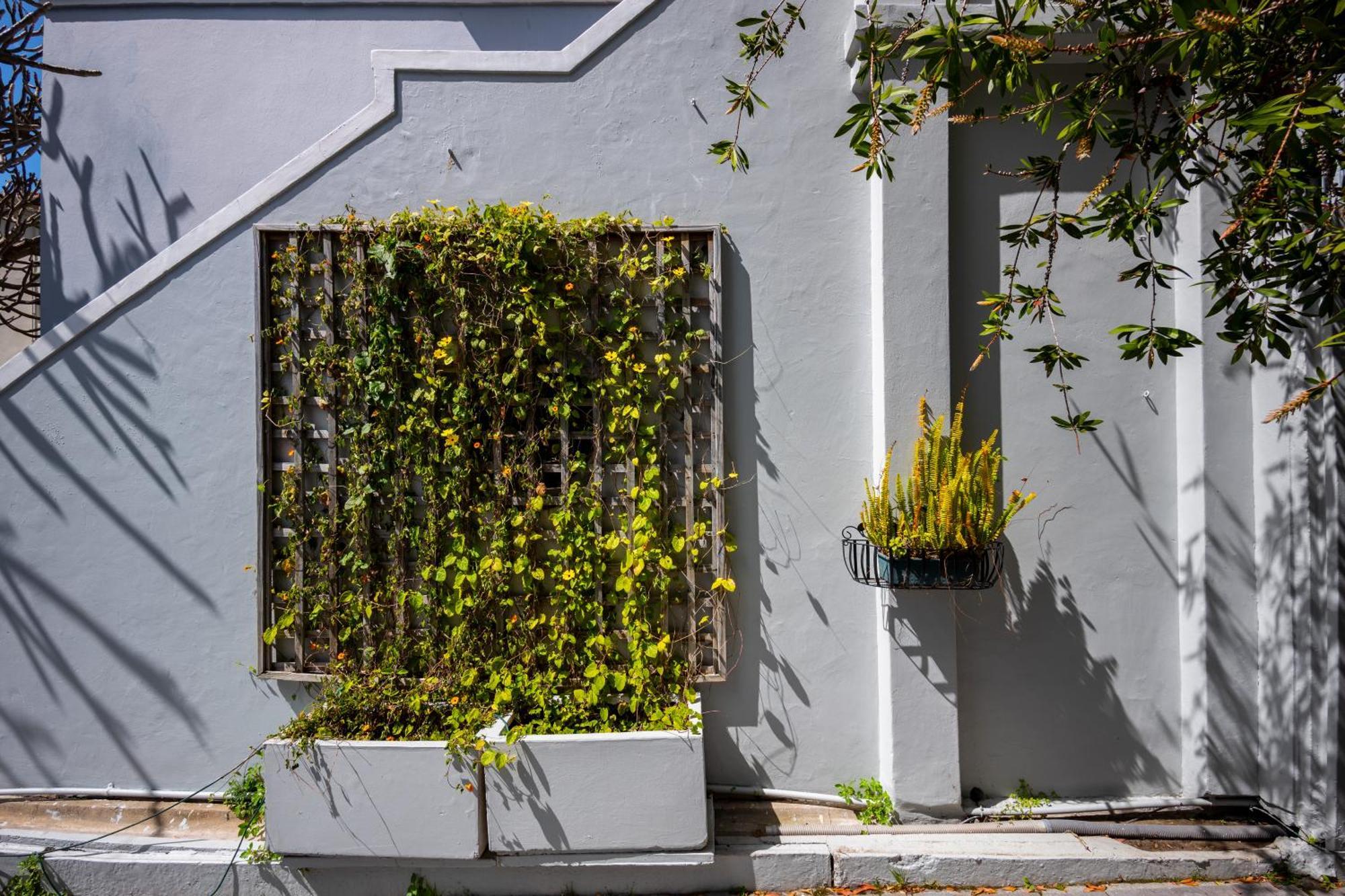 Barry Hall Apartments Cape Town Luaran gambar